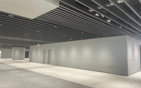 共筑绿茵梦 三棵树助力西安打造国际足球新地标