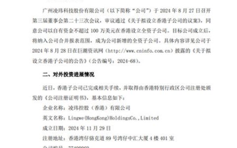 香港子公司成立！凌玮科技拓展发展空间，加速国际化布局