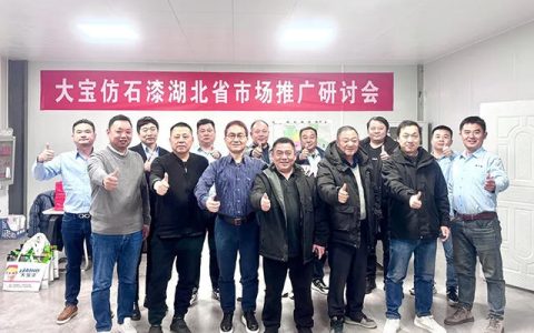 灵蛇聚力·湖北起航 | 大宝仿石漆点燃市场新势能