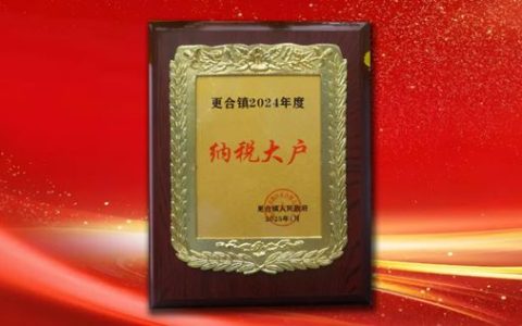 百川化工荣获2024年度“纳税大户”称号