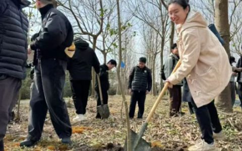 中远关西：“植”此青绿，“树”说青春