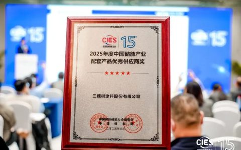 首秀CIES中国储能大会 三棵树获评产业配套产品优秀供应商奖
