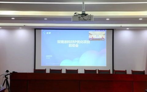 双瑞涂料召开ERP优化项目启动会