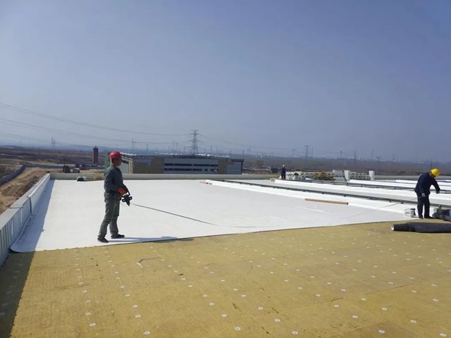 三棵树TPO防水卷材助力泰安市某物流产业园项目建设