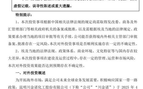 19亿重金砸向埃及！中国化工巨头欲意何为？