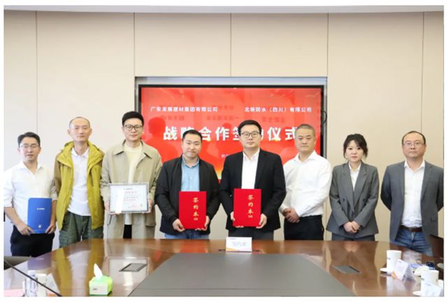 北新防水西南公司：渠道优先搏逆境，价值经营促发展