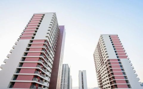 国漆崛起！解码三棵树仿石漆五年市占率第一的”霸榜密码”