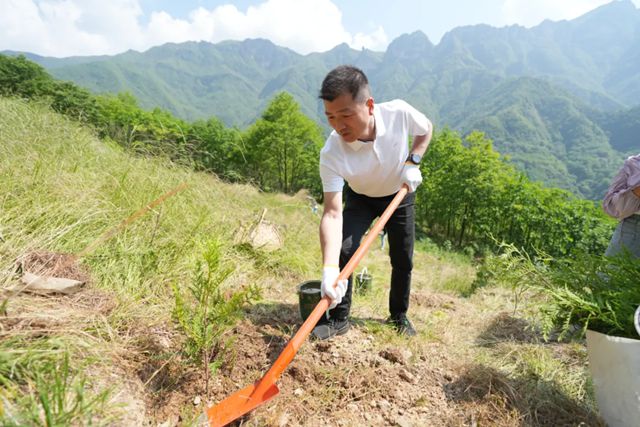 守护珍稀物种崖柏 三棵树助力保护生物多样性