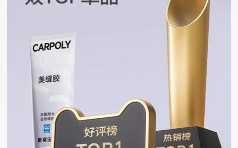 专业领先，嘉宝莉双榜TOP1!