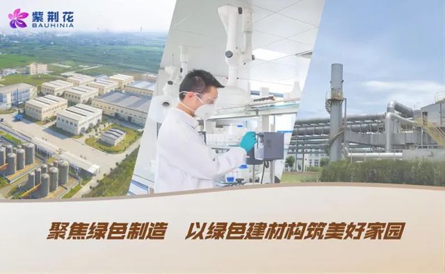 三冠加冕|紫荆花荣膺2025第十六届金漆奖三项行业大奖