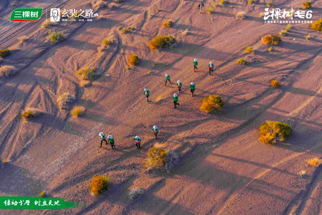 绿动戈壁 树立天地丨三棵树戈6 第六、七日：穿谷越山，愈战愈勇！