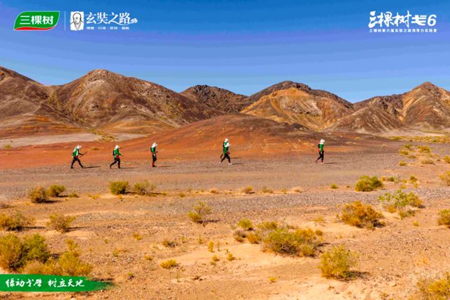 绿动戈壁 树立天地丨三棵树戈6 第六、七日：穿谷越山，愈战愈勇！