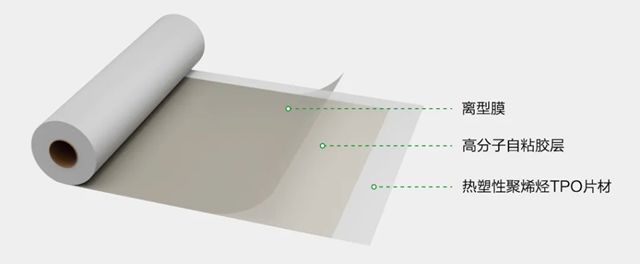 三棵树TPO防水卷材助力某智慧冷链物流园项目建设