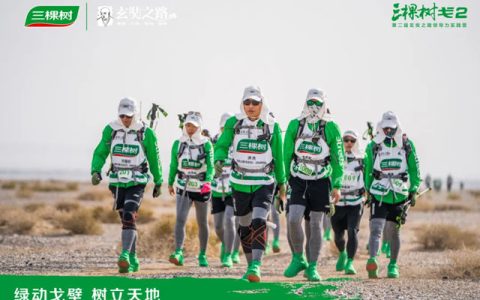 “熬”出来的伟大！三棵树戈6玄奘之路见证企业韧性生长