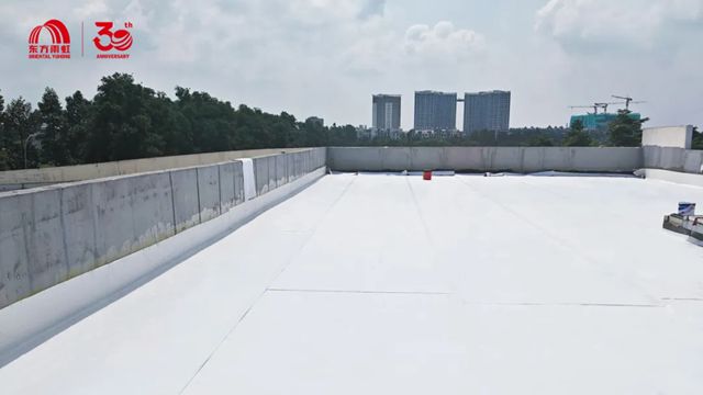 东方雨虹携手越南BW Industrial集团，共建高标准TPO屋面系统