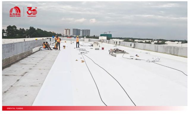 东方雨虹携手越南BW Industrial集团，共建高标准TPO屋面系统