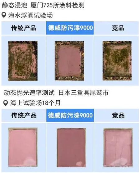 德威涂料船舶节能技术论坛亮相，推动航运绿色发展新篇章