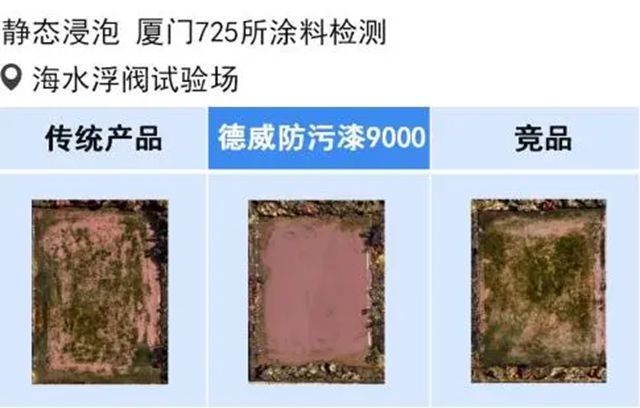 德威涂料亮相船舶技术论坛，以创新节能技术助力航运绿色未来