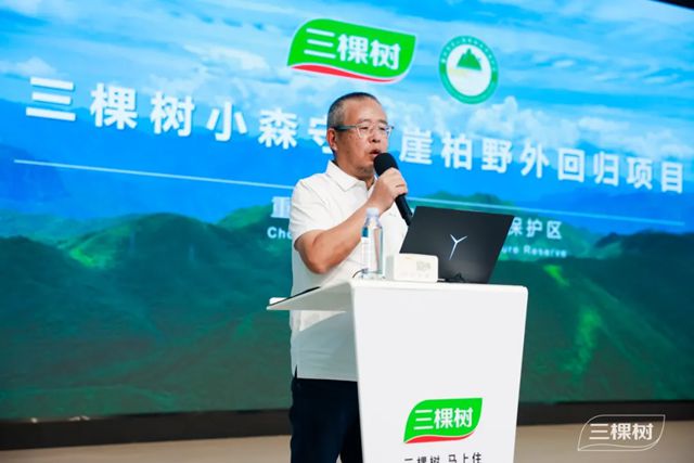 荔志向上 自然出色丨三棵树守护珍稀物种，助力崖柏野外回归