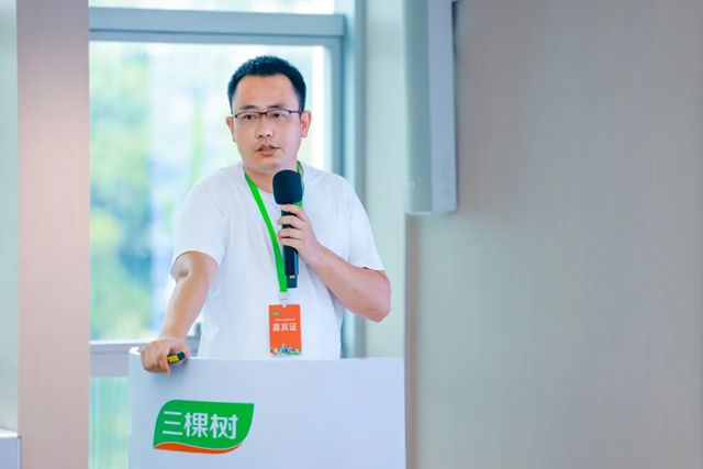 “向新同行 焕发商机”2025年三棵树荔枝文化节城市焕新招商峰会圆满落幕