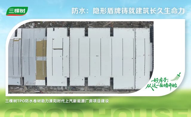 三棵树筑就「绿色低碳人居」新标杆