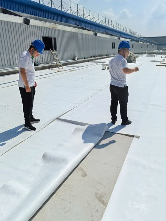三棵树TPO防水卷材助力中天钢铁集团一工厂防水工程项目建设