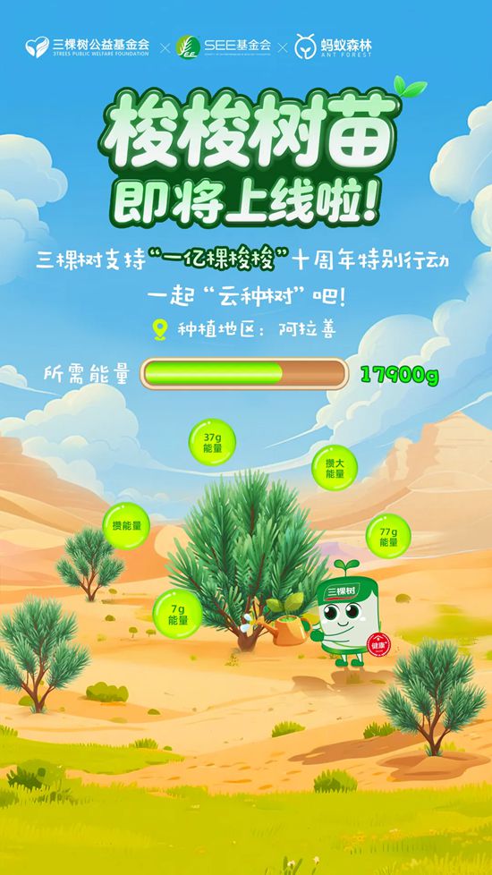 见证十年绿色奇迹！三棵树专属梭梭苗即将上线