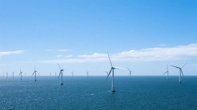 三棵树工业涂料进入金风科技供应链 国产高端海上风电防腐涂料实现“零的突破”
