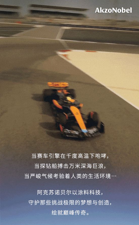 阿克苏诺贝尔之“最”