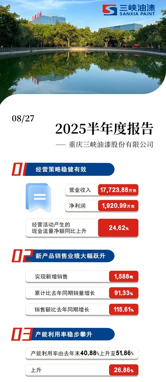 一图看懂三峡油漆2025半年度报告