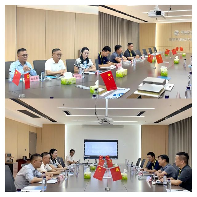 淮南市潘集区区长李国柱一行莅临鳄鱼尼卡集团，共探绿色转型新篇