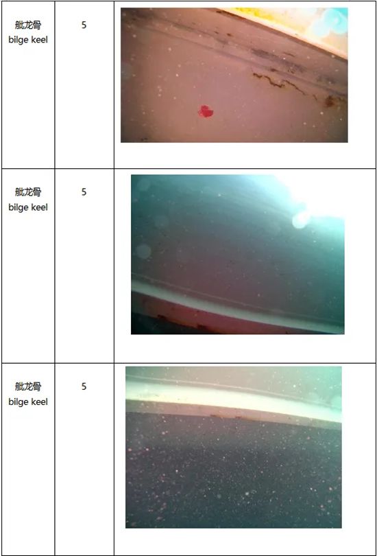 德威 | 看水下机器人如何做船舶涂料“年度体检”