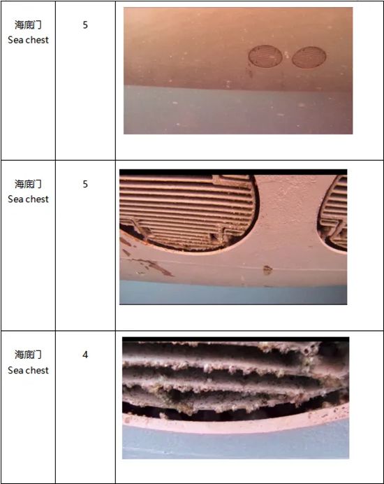 德威 | 看水下机器人如何做船舶涂料“年度体检”