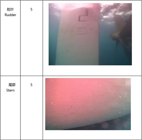 德威 | 看水下机器人如何做船舶涂料“年度体检”