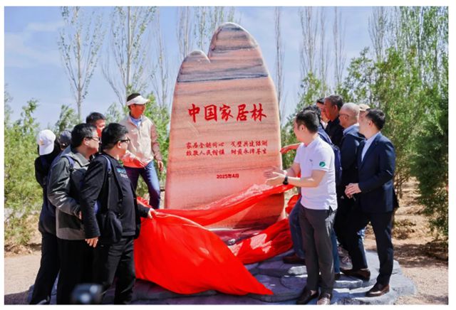 从一抹新绿到万里林海，展辰邀您共绘西北生态青绿画卷