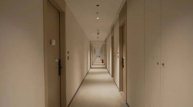 三棵树商业空间艺术漆赋能美的ALSO酒店，塑造企业空间美学新风尚