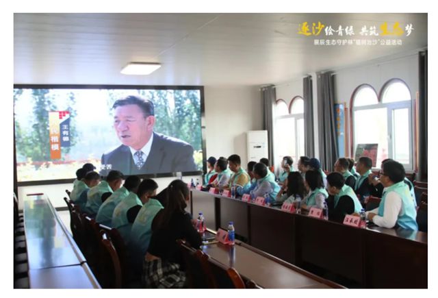 从一抹新绿到万里林海，展辰邀您共绘西北生态青绿画卷