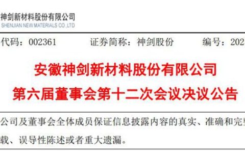 官宣！神剑股份换帅了，27年老将掌舵
