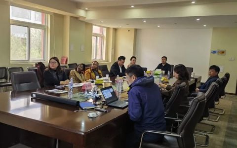加纳大使馆公使莅临富思特考察交流 共探合作发展新方向