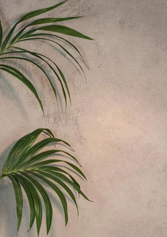 Novacolor色彩美学：天然纹理交响曲