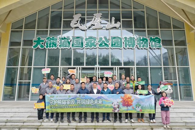 守护熊猫家园，共筑绿色未来丨三棵树助力大熊猫栖息地修复