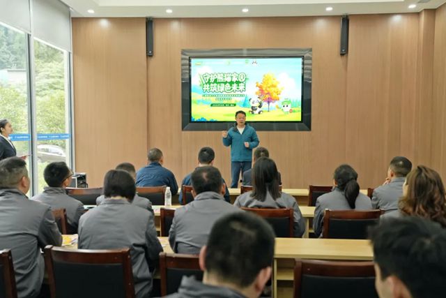 守护熊猫家园，共筑绿色未来丨三棵树助力大熊猫栖息地修复