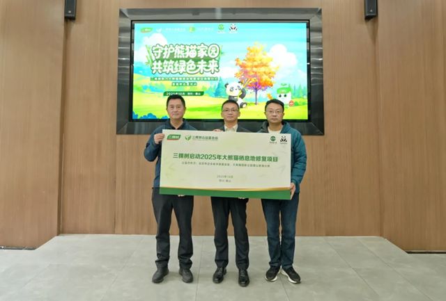 守护熊猫家园，共筑绿色未来丨三棵树助力大熊猫栖息地修复