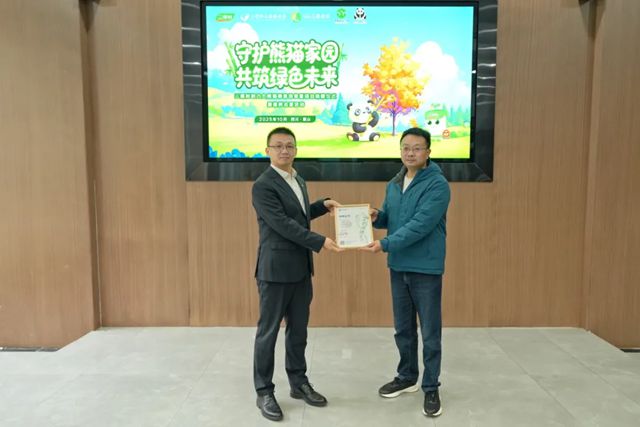 守护熊猫家园，共筑绿色未来丨三棵树助力大熊猫栖息地修复