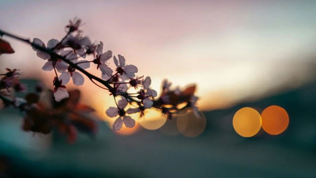 李卫国：敢为者虽败犹荣