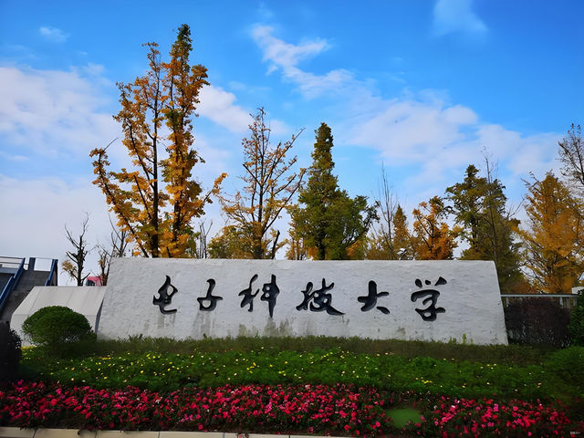 电子科大走出两位新富豪，书中“黄金屋”终于变现！