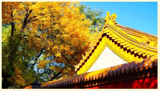 与北京中轴线古建的百年对话丨北新涂料为黄瓦增福财神庙焕新颜