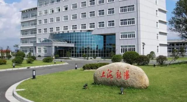 上海新阳三季报出炉：营收增30%净利涨62%，涂料业务强势逆转！