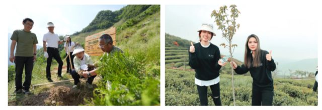 三棵树荣获SEE基金会两项嘉许，共绘绿色未来新画卷