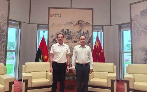 三棵树亚非万里行：以系统性布局领航全球化新篇